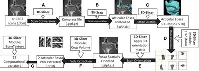 Quantitative bone imaging biomarkers and joint space analysis of the articular fossa in temporomandibular joint osteoarthritis using artificial intelligence models